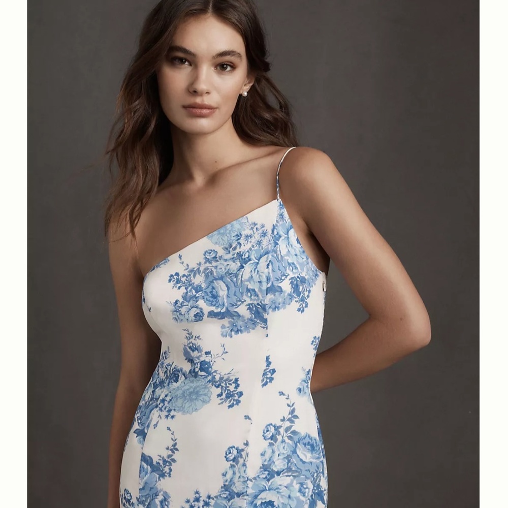 BHLDN Anamaria Georgette Dress